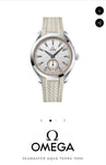 Omega Collection Seamaster Series Aqua Terra