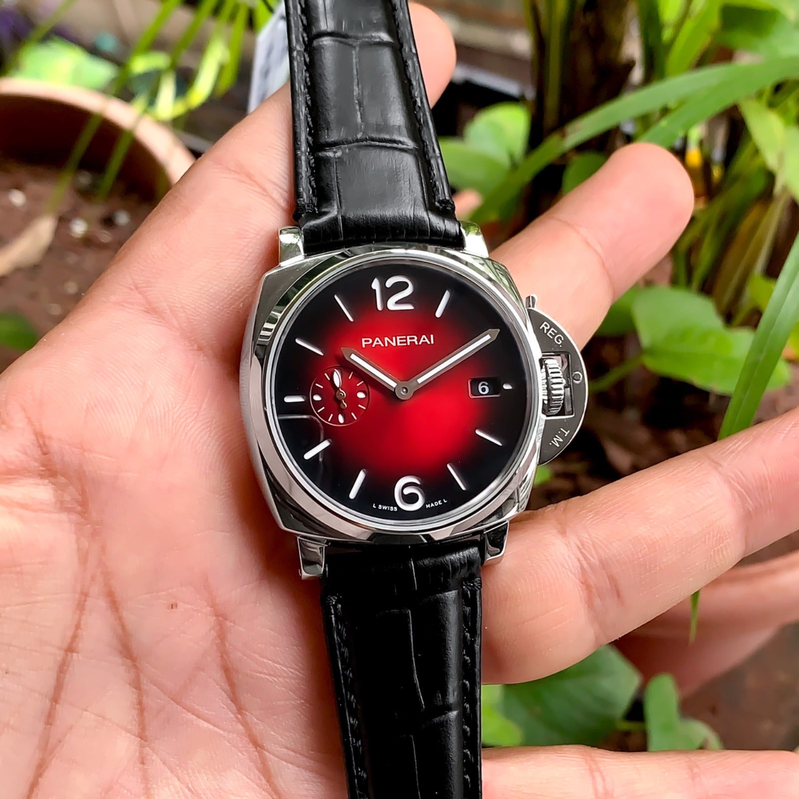 Panerai Luminor Due 42mm Automatic Burgundy Dial