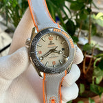 Omega Planet Ocean 600M Co‑Axial Master Grey