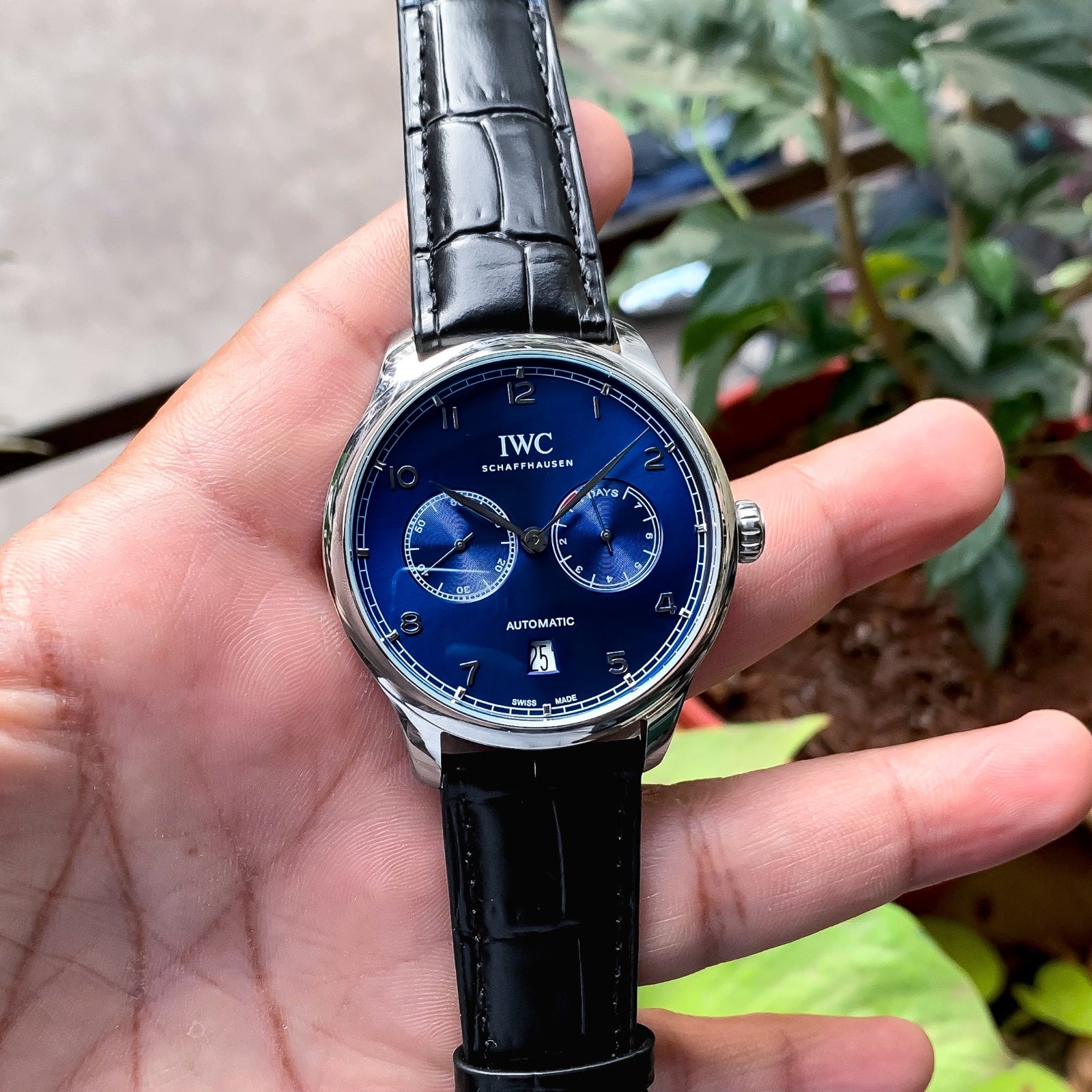 IWC Portuguese Automatic