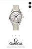Omega Collection Seamaster Series Aqua Terra