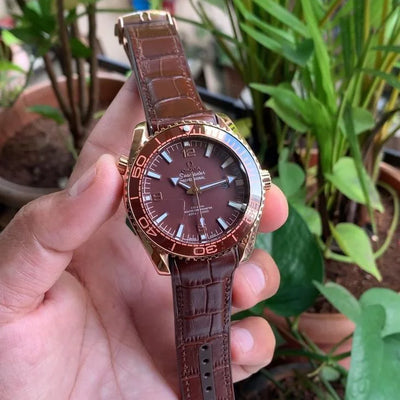 Omega Planet Ocean 600M Master Chronometer Brown